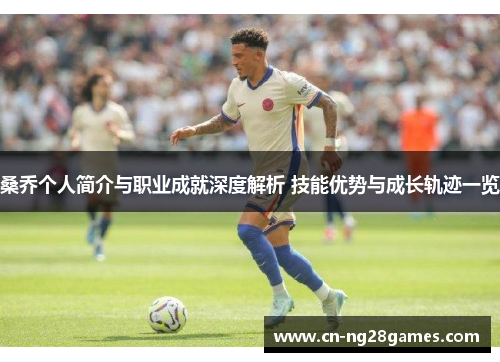 桑乔个人简介与职业成就深度解析 技能优势与成长轨迹一览