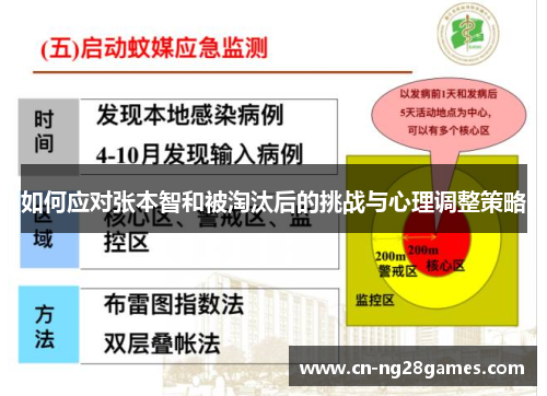 如何应对张本智和被淘汰后的挑战与心理调整策略