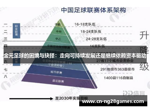金元足球的困境与抉择：走向可持续发展还是继续依赖资本驱动