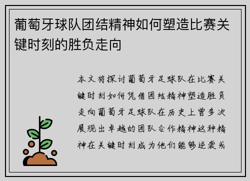 葡萄牙球队团结精神如何塑造比赛关键时刻的胜负走向