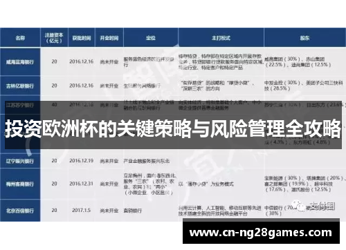 投资欧洲杯的关键策略与风险管理全攻略